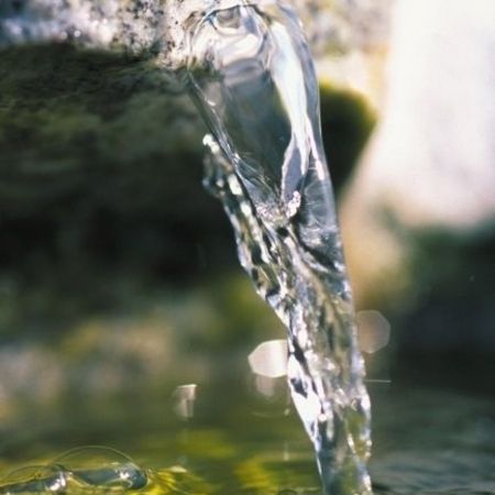 Teichtechnik - Filterpumpen