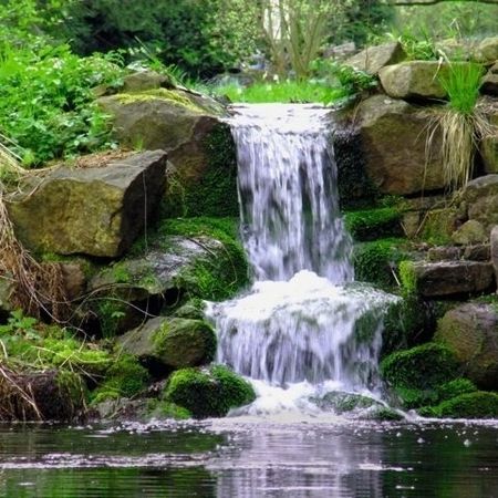 Teichtechnik - Filterpumpen
